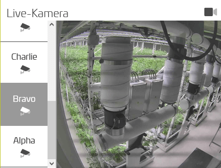 live bilder live bilder
